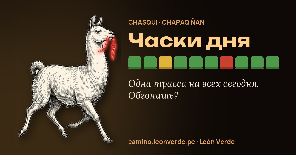 Забег дня